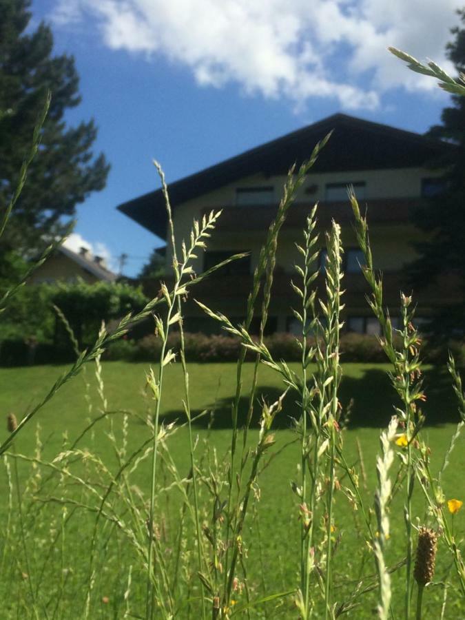 Haus Auer Apartman Weyregg Kültér fotó